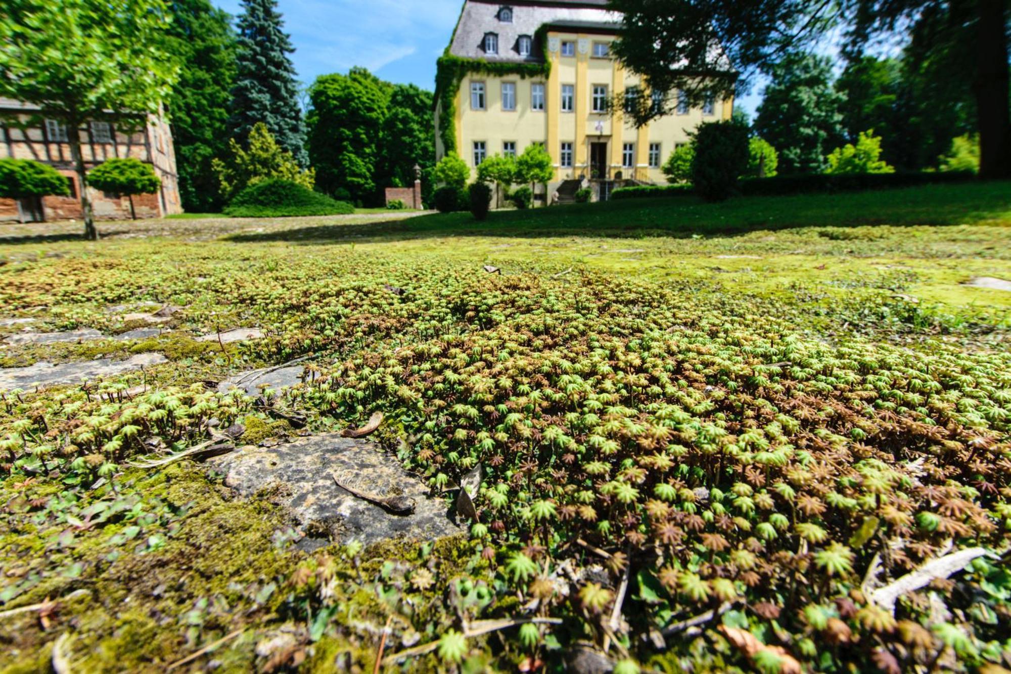 Rittergut/Gutshaus Grossgestewitz Naumburg (Saale) Exterior foto